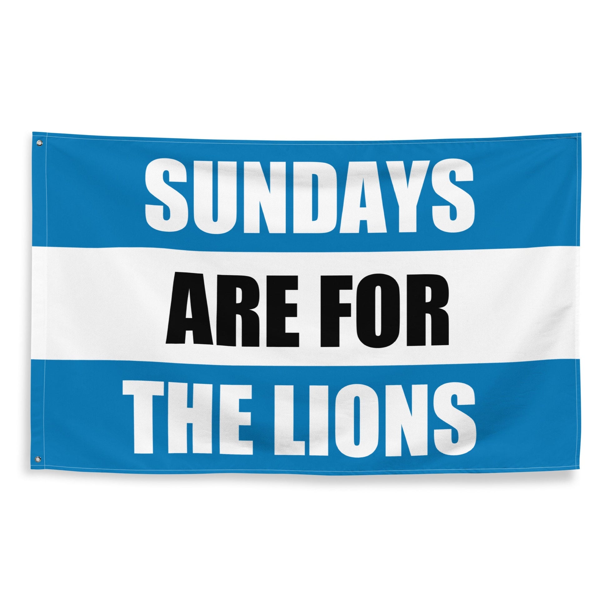 Large Banner, Sundays are for the Detroit Lions , NFL Football Tailgate Flag, Gift for Him