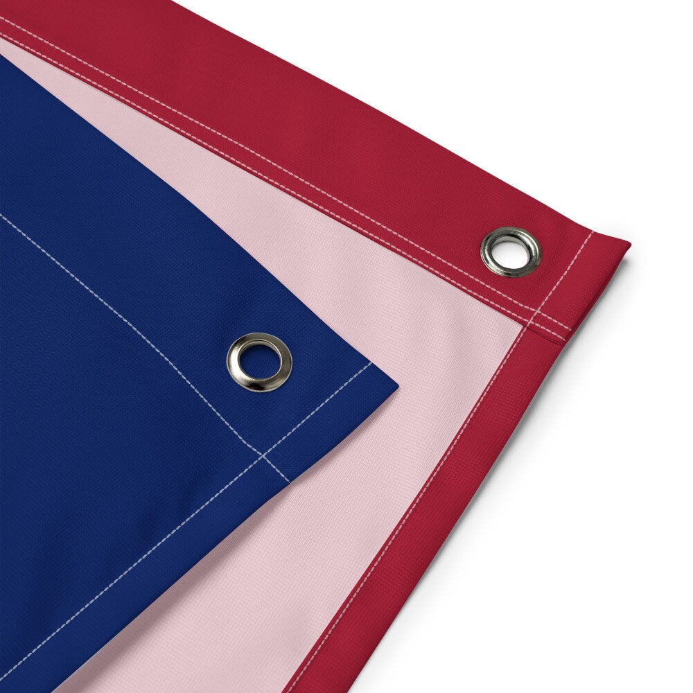 Large Banner, Sundays are for the NY Giants , NFL Football Tailgate Flag, Gift for Him
