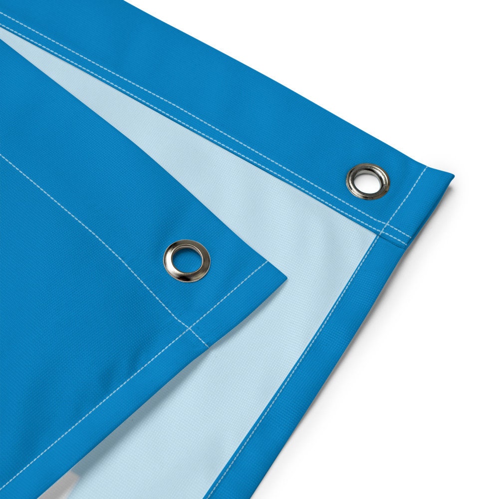 Large Banner, Sundays are for the Carolina Panthers , NFL Football Tailgate Flag, Gift for Him