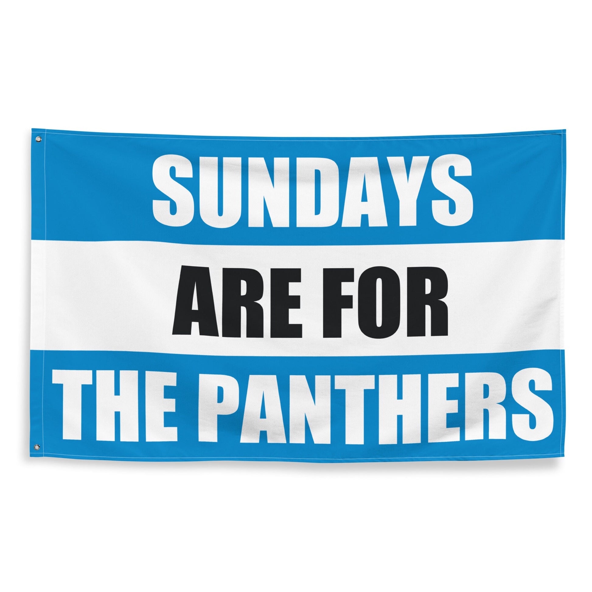 Large Banner, Sundays are for the Carolina Panthers , NFL Football Tailgate Flag, Gift for Him