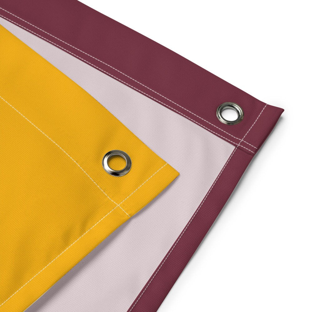 Large Banner, Sundays are for the Washington Redskins Team , NFL Football Tailgate Flag, Gift for Him