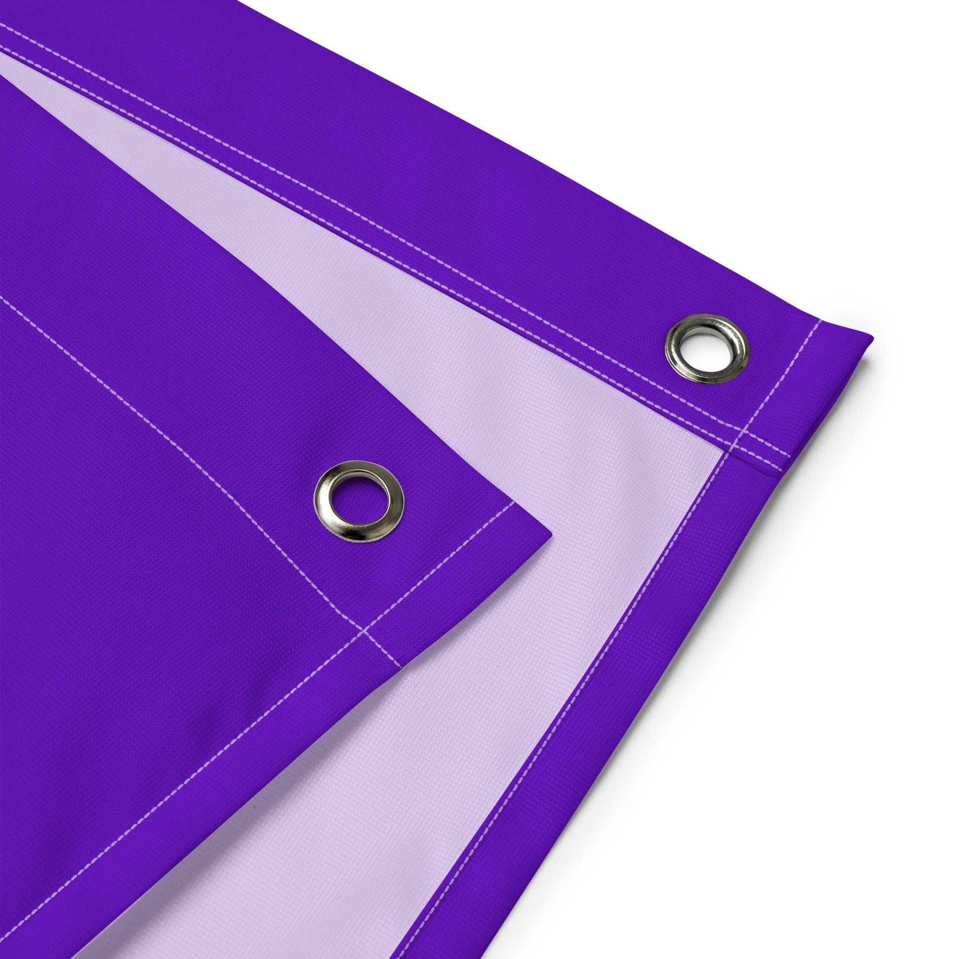 Large Banner, Fridays are for the Panthers Purple Tapestry, Dorm, Tailgate Flag, Gift for Him/Her